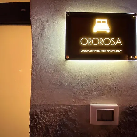 Ororosa Center 펜션